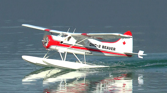 DHC-Beaver von Olli