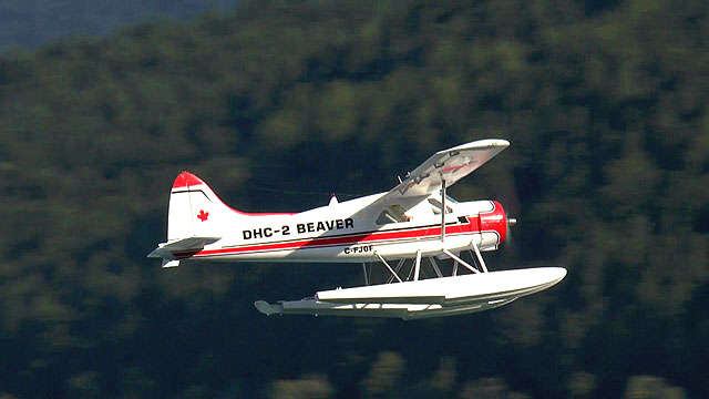 DHC-Beaver von Olli