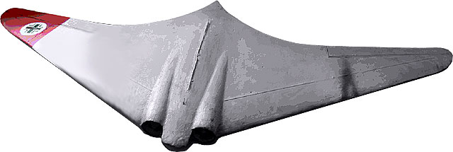 fly2air.com - Horten IX - V3p1